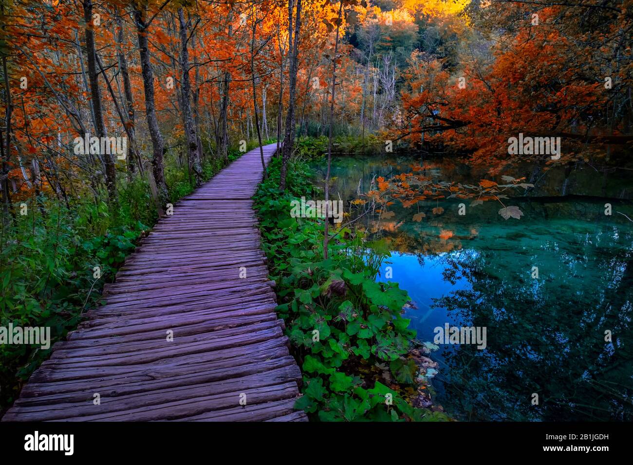 Lakes of Plitvice National park. Autumn season UNESCO site. Autumn. Croatia. Stock Photo