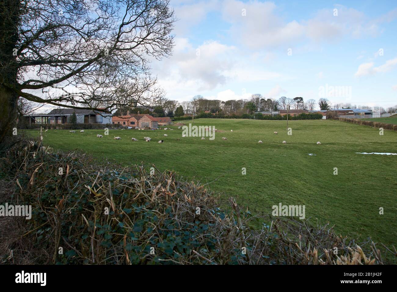 Middleton on the Wolds Village, East Yorkshire. England, UK, GB. Stock Photo