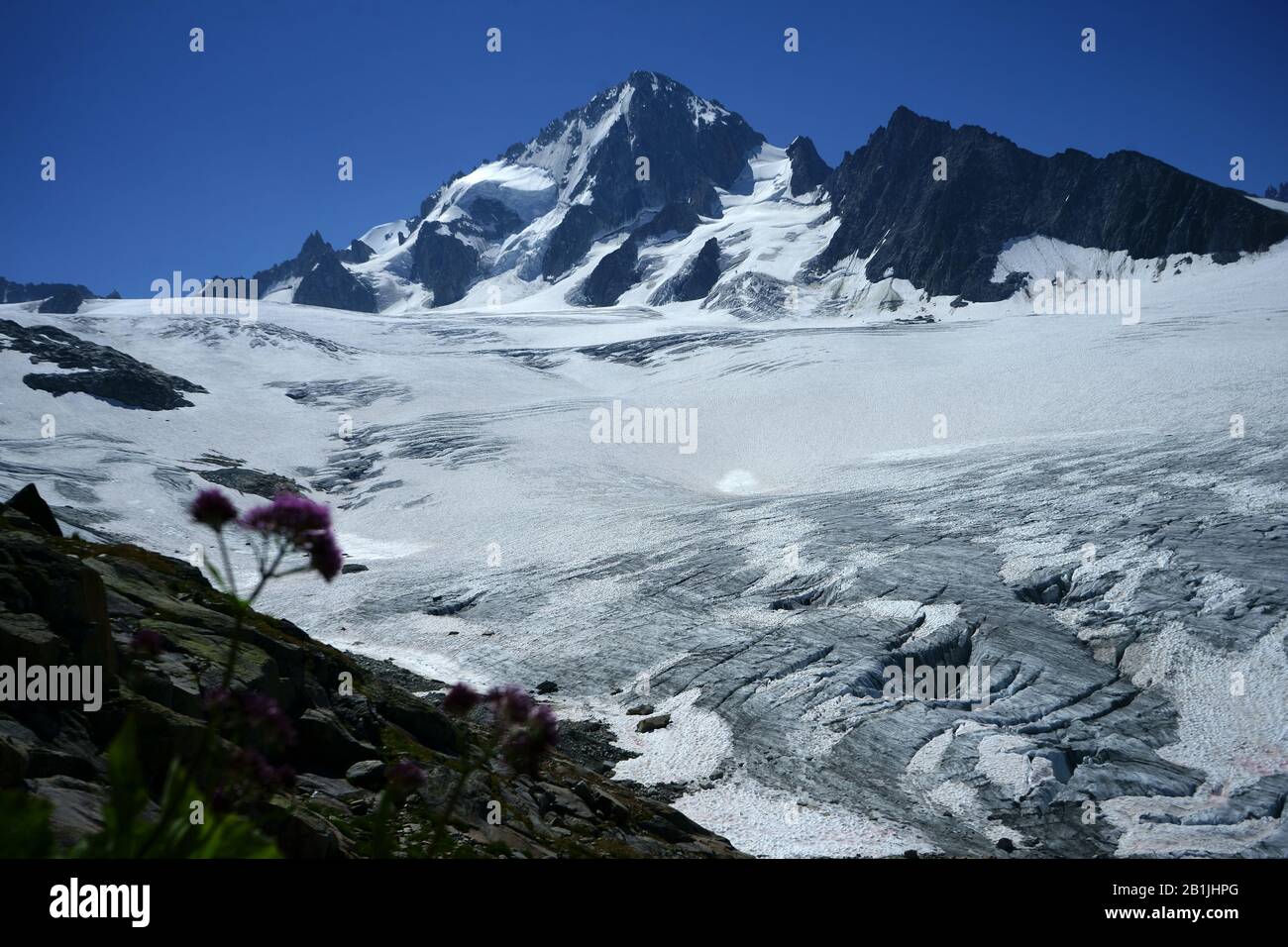 Glacier Trient, Aiguille du Chardonnet, French alps, >seen from Hut Albert 1er, Haute Savoie, France Stock Photo