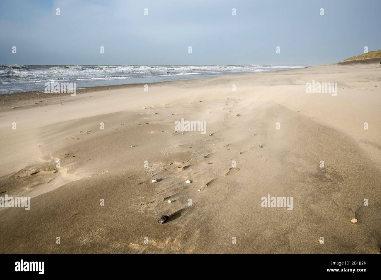 North Sea coast at moderate gale, Netherlands Stock Photo