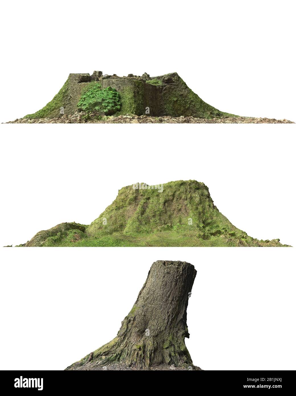 3D illustration stump dead tree isolated on white Stock Photo - Alamy