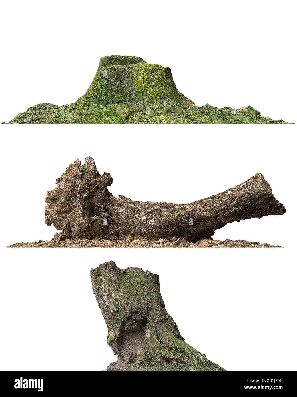 3D illustration stump dead tree isolated on white Stock Photo - Alamy
