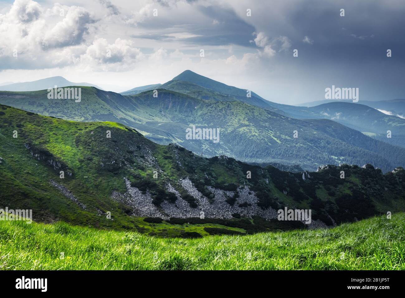 Lush green grass covered mountains meadow in summer time. Soft sunrise ...