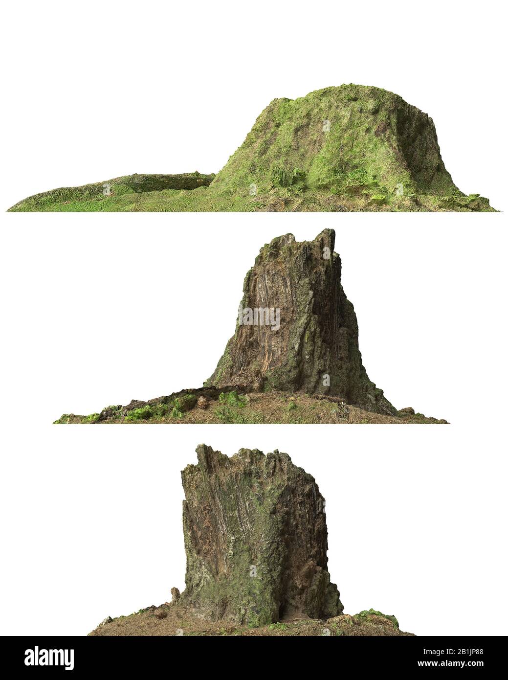 3D illustration stump dead tree isolated on white Stock Photo - Alamy