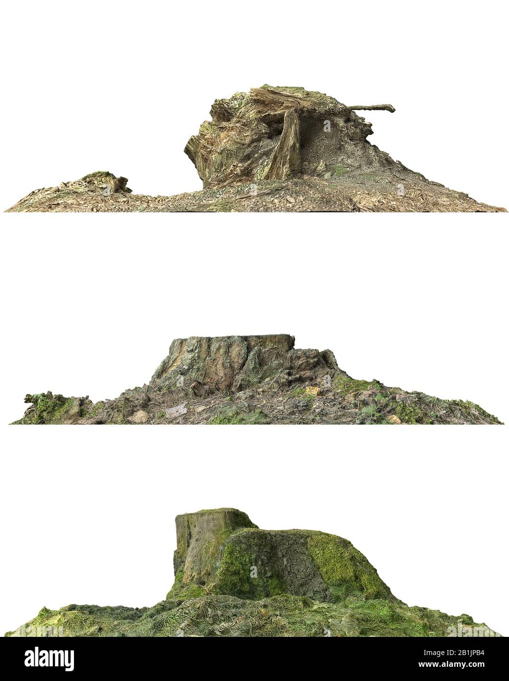 3D illustration stump dead tree isolated on white Stock Photo - Alamy
