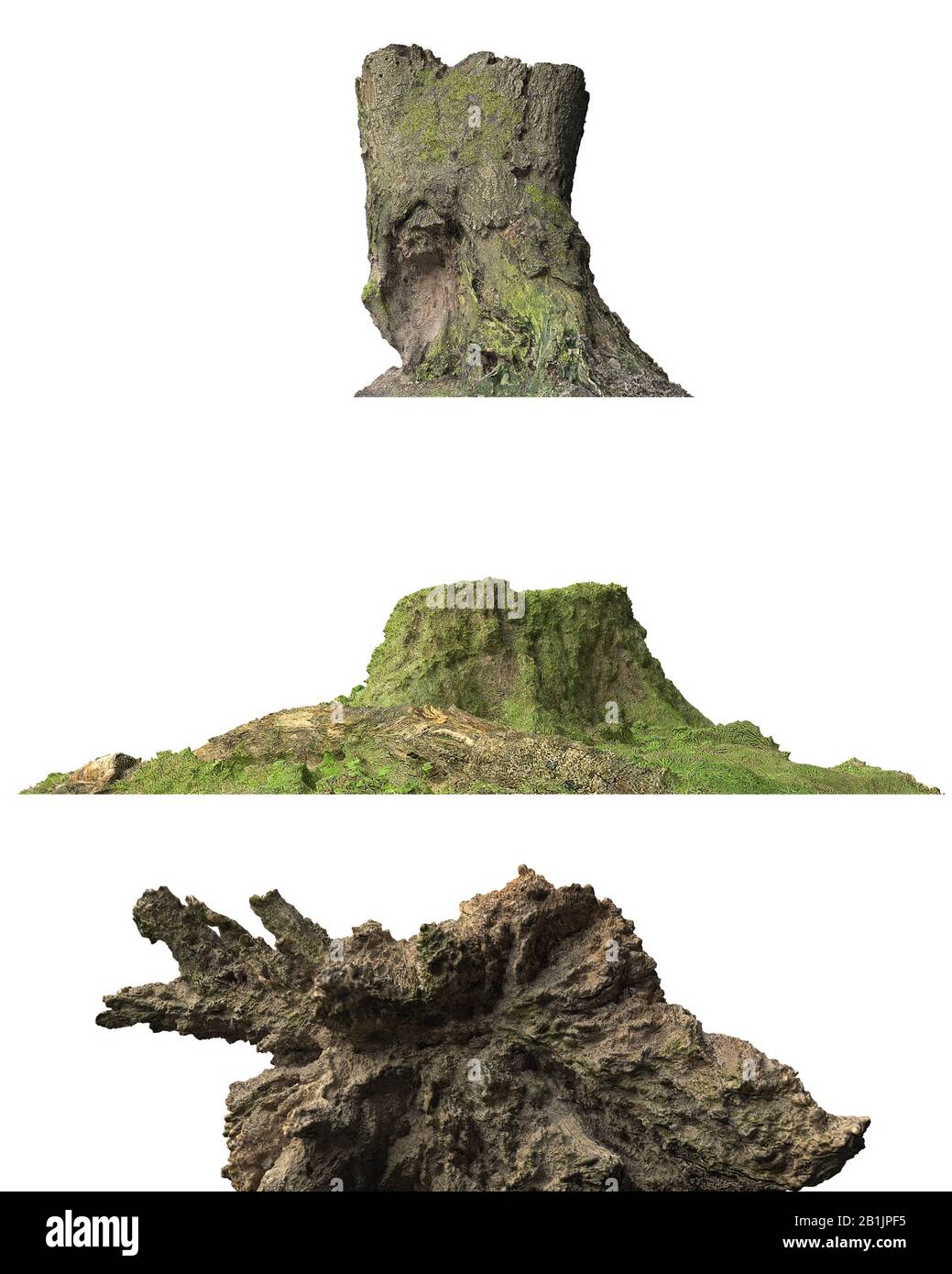 3D illustration stump dead tree isolated on white Stock Photo - Alamy