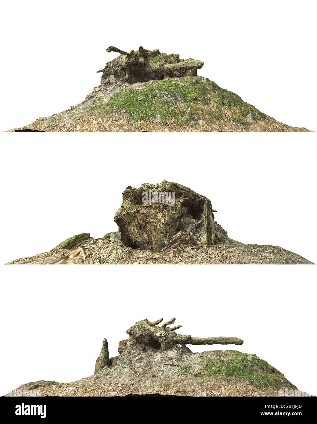 3D illustration stump dead tree isolated on white Stock Photo - Alamy