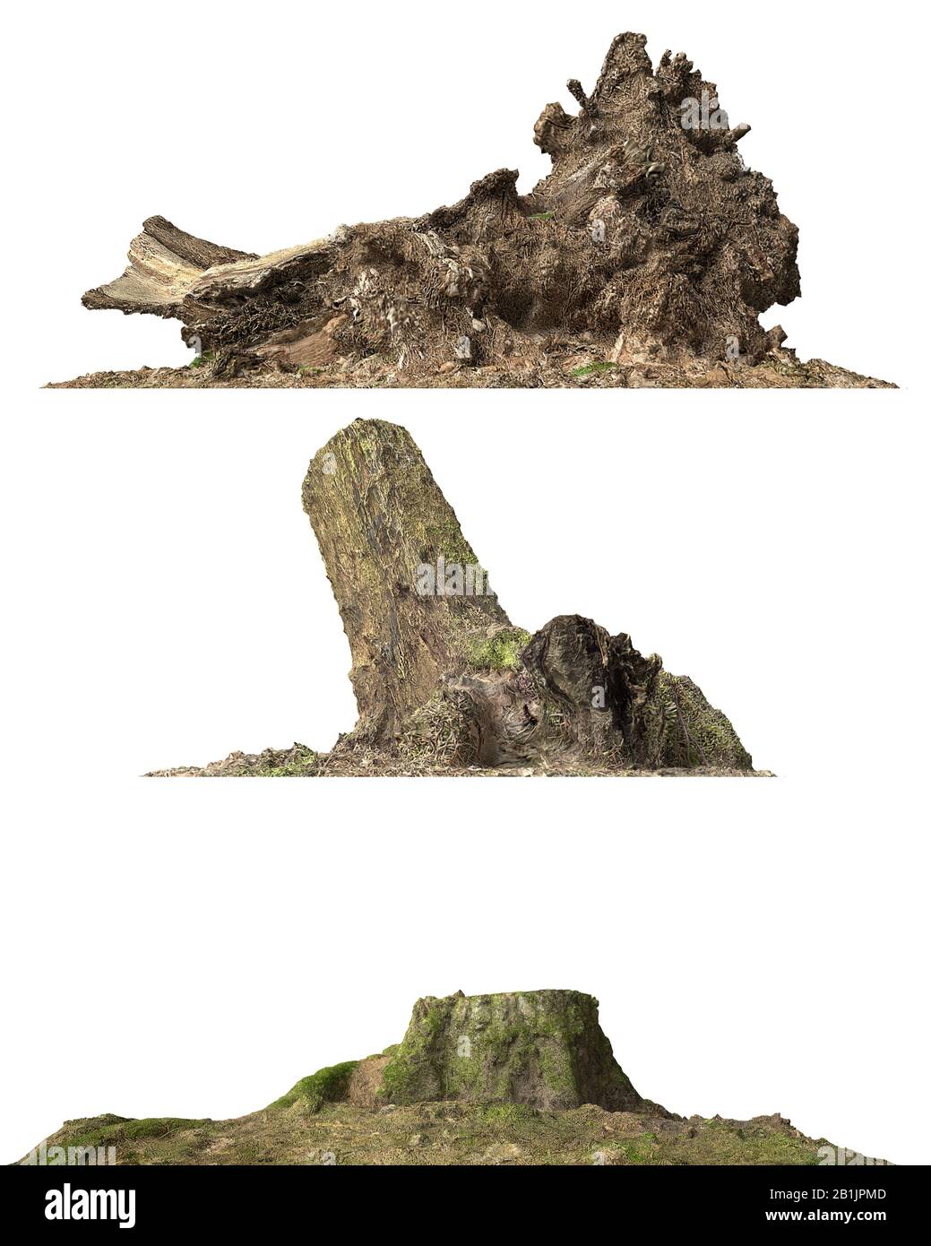 3D illustration stump dead tree isolated on white Stock Photo - Alamy