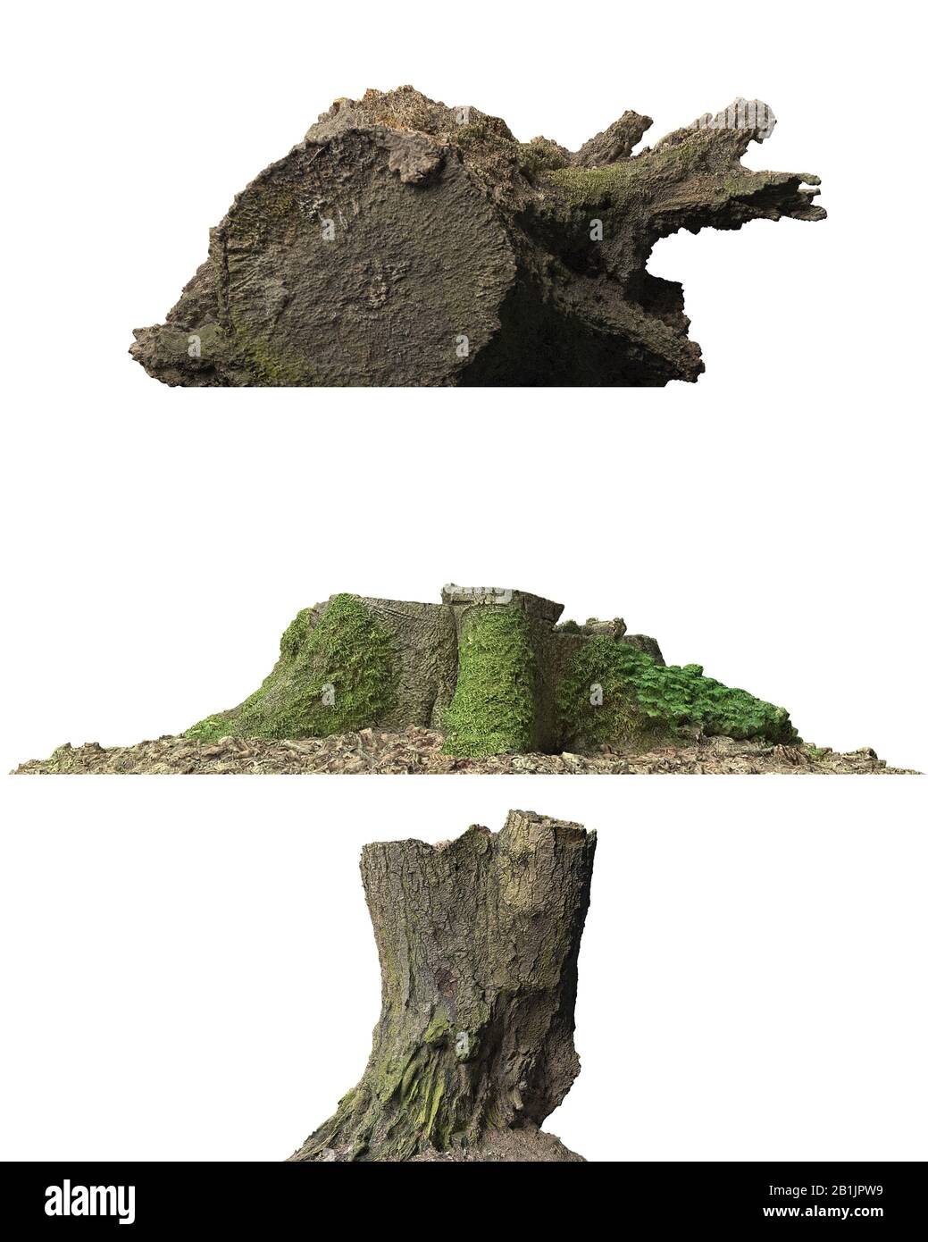 3D illustration stump dead tree isolated on white Stock Photo - Alamy