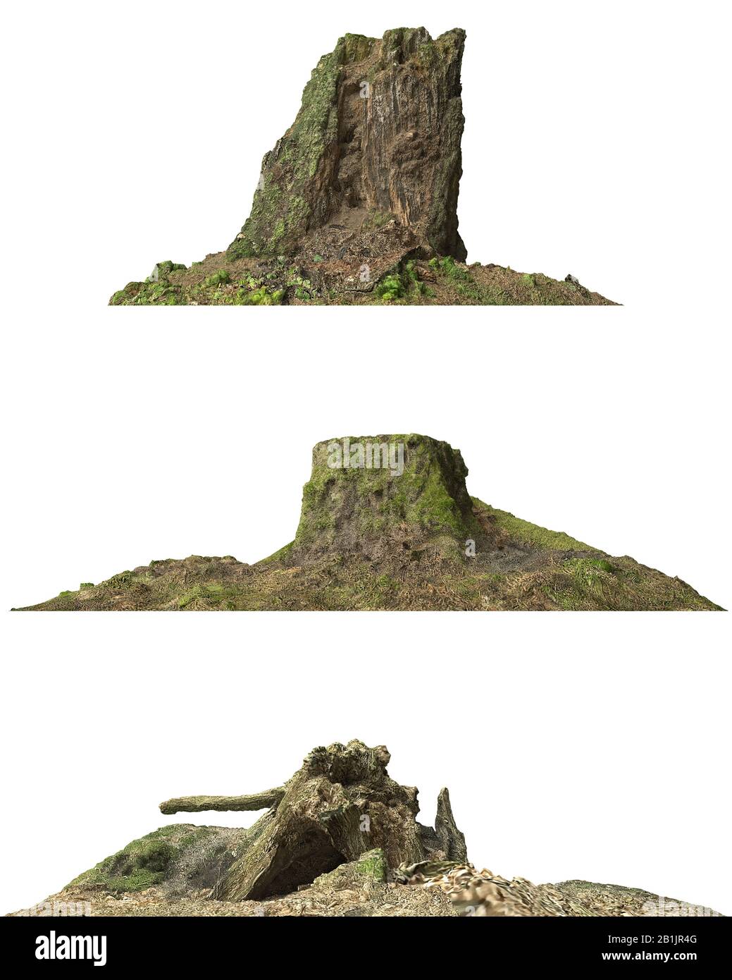 3D illustration stump dead tree isolated on white Stock Photo - Alamy
