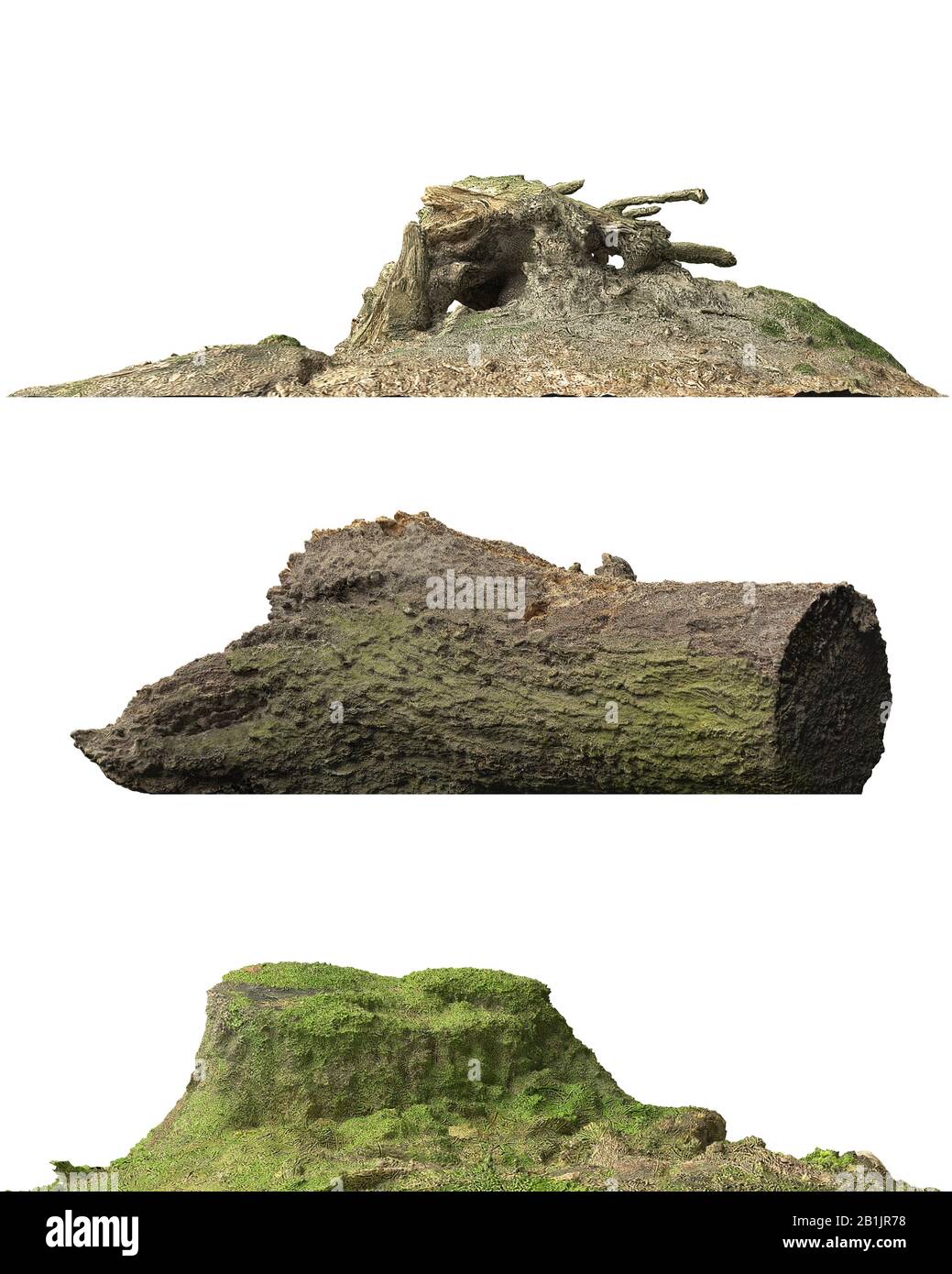 3D illustration stump dead tree isolated on white Stock Photo - Alamy