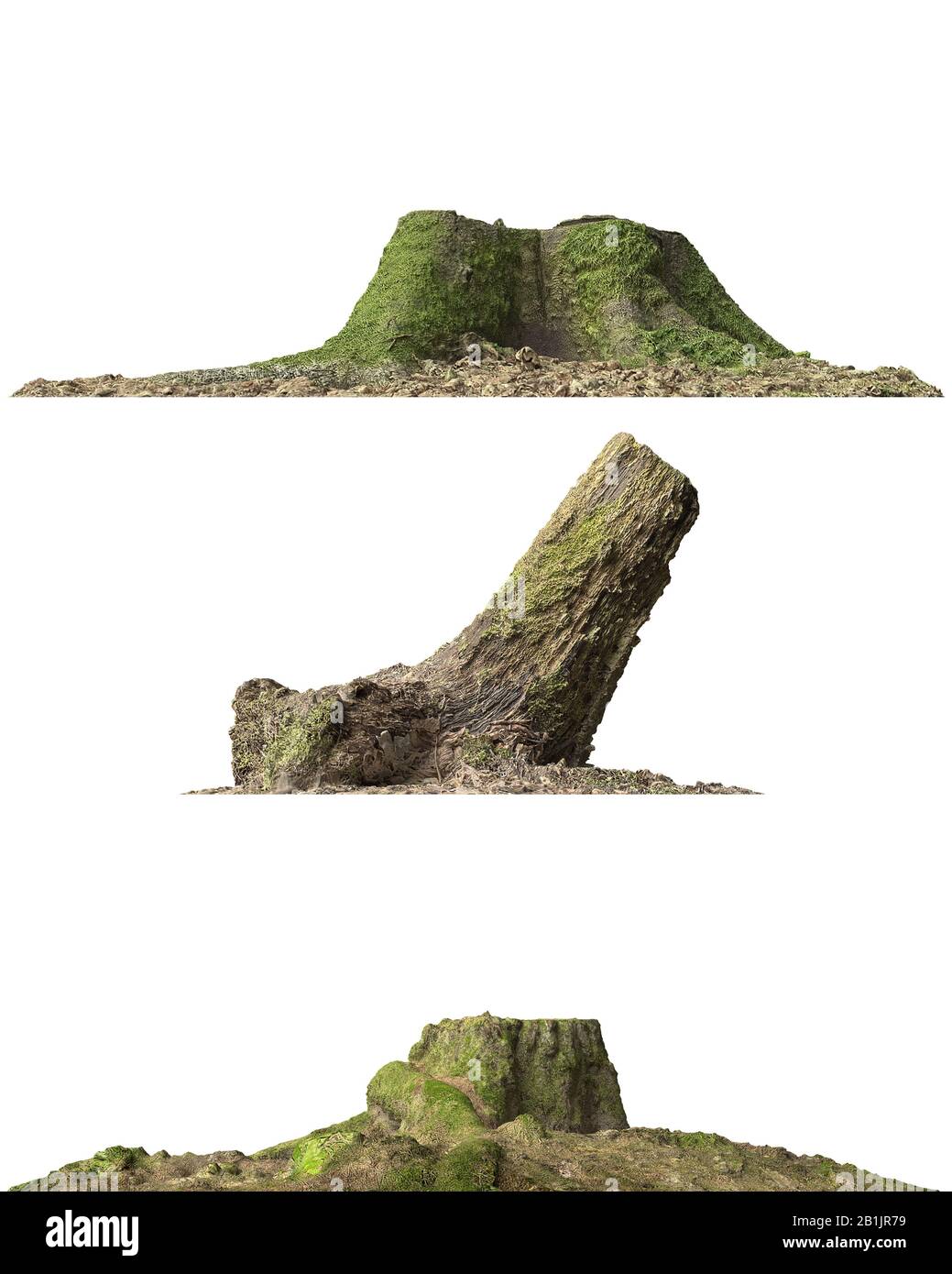 3D illustration stump dead tree isolated on white Stock Photo - Alamy