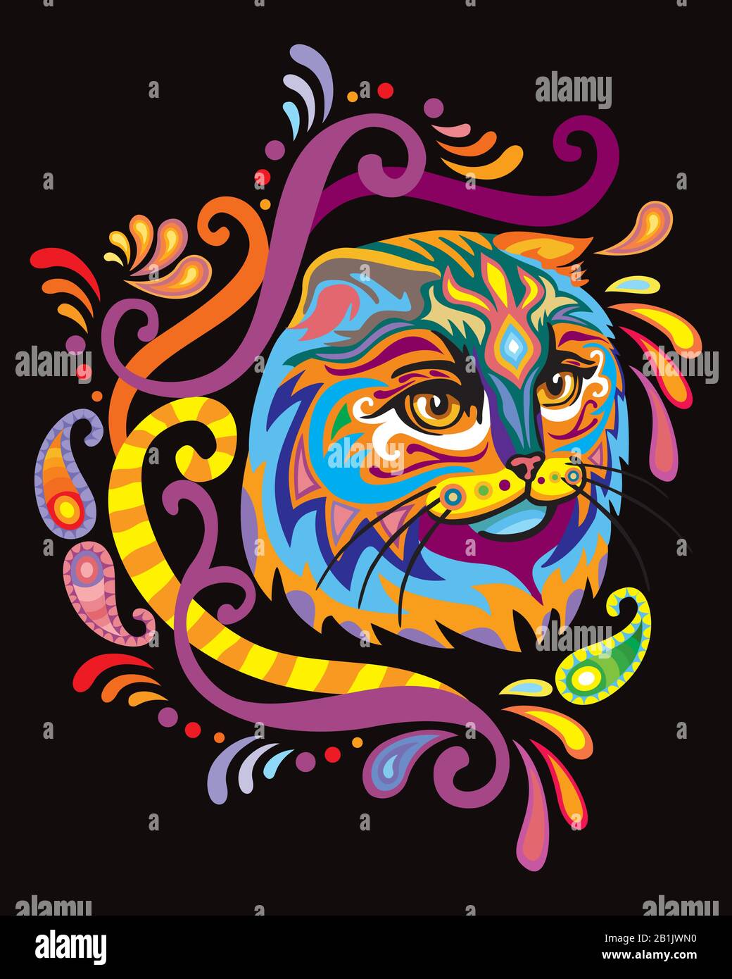 Colorful Decorative Ornamental Portrait Of Fluffy Scotish Fold Cat