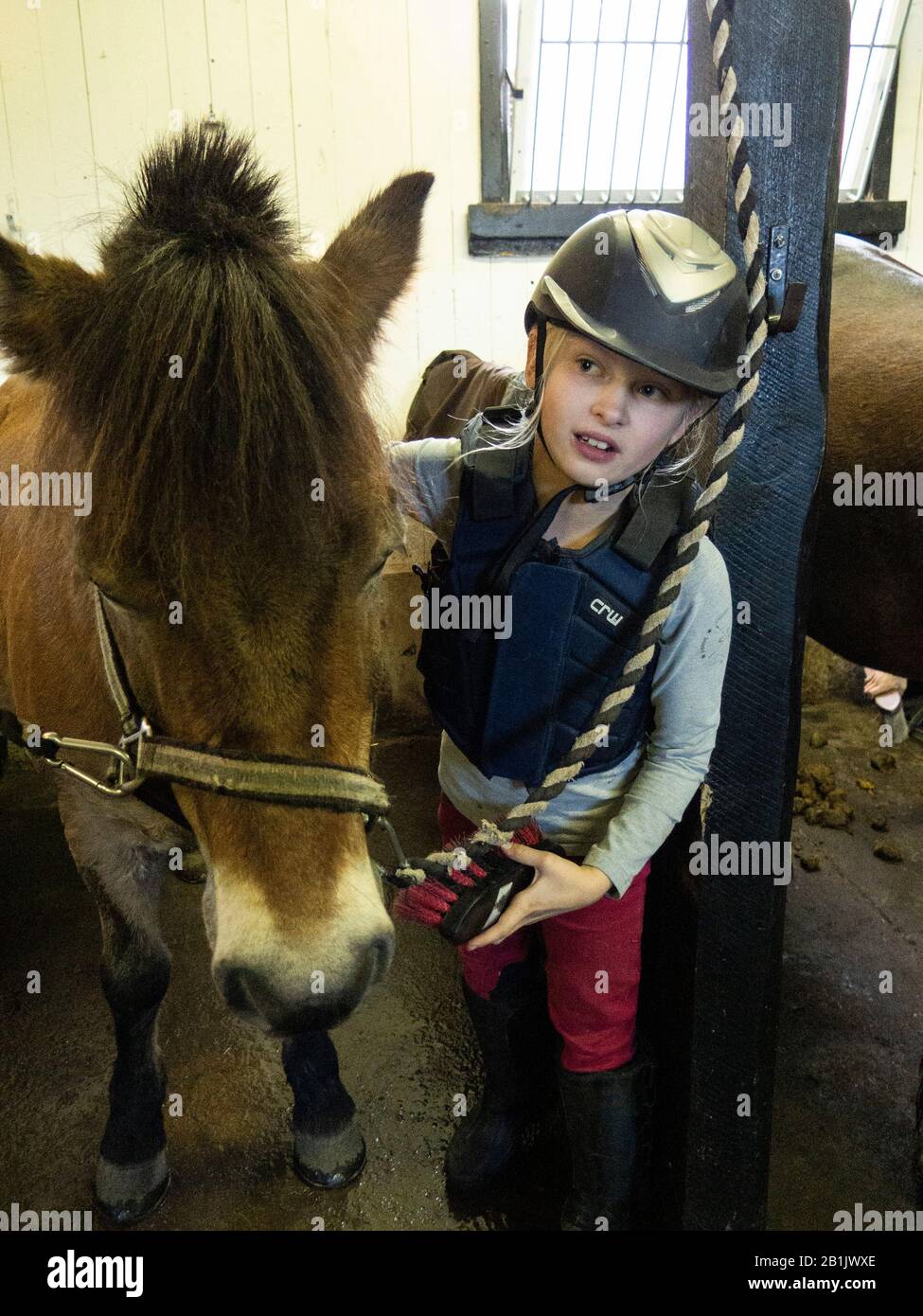 A ten years old girl taking care of her horse in the stable Stock Photo