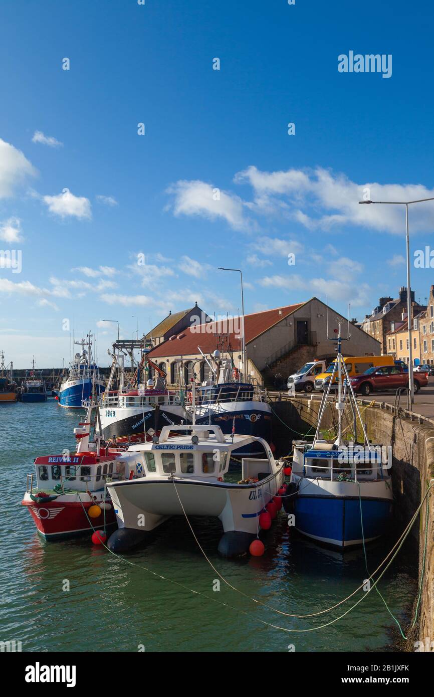 The working fishing harbour of Pittenweem Fife Scotland Stock Photo - Alamy