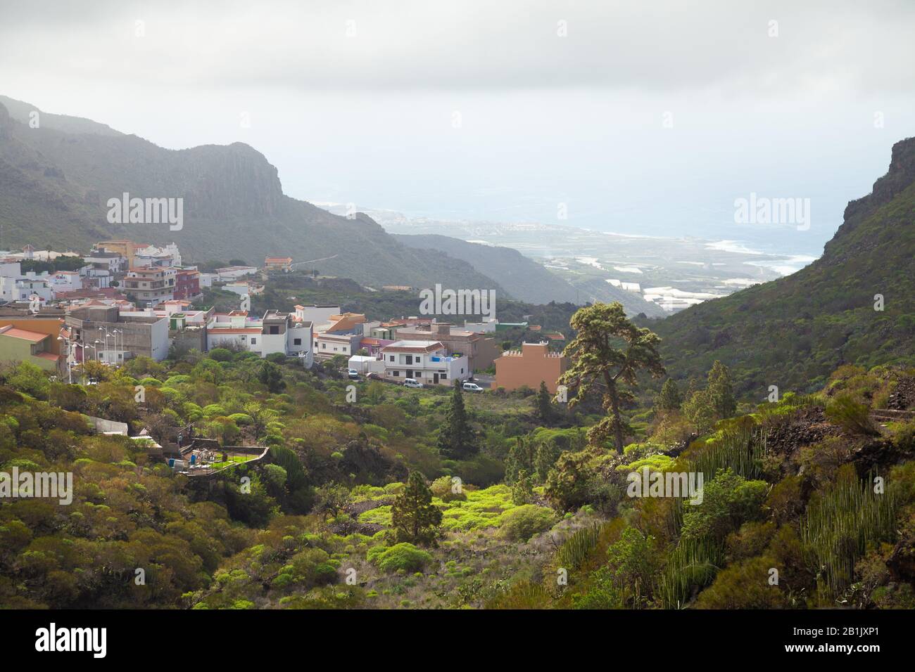 The small village of Tamaimo set in the hillside near Los Gigantes, Tenerife, Spain. Stock Photo