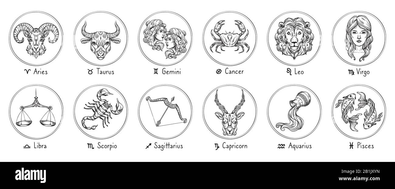 Zodiac signs. Sketch Cancer, Scorpio and Pisces. Hand drawn Taurus, Virgo and Capricorn. Aries, Leo and Sagittarius. Gemini, Libra and Aquarius Stock Vector
