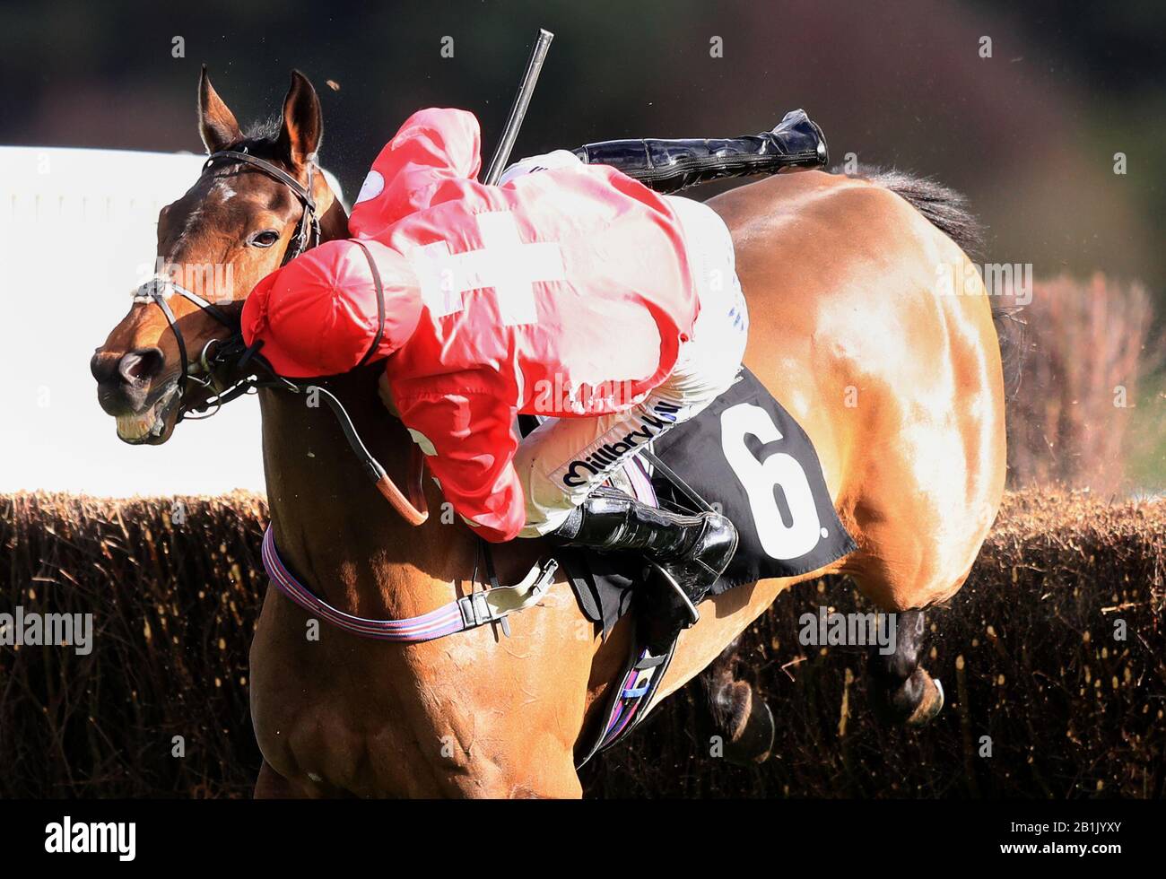 Ross Chapman is unseated by Bestiarius at the last during The MansionBet Novices' Handicap Chase at Market Rasen Racecourse. Stock Photo