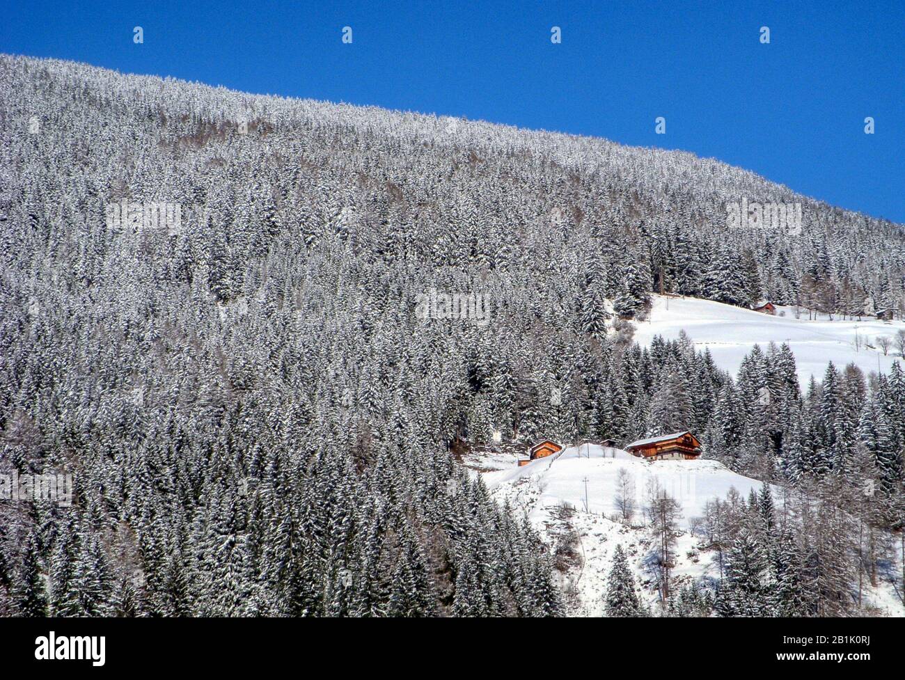 Snowy woods on the mountain coast in front of the town of San Candido Stock Photo