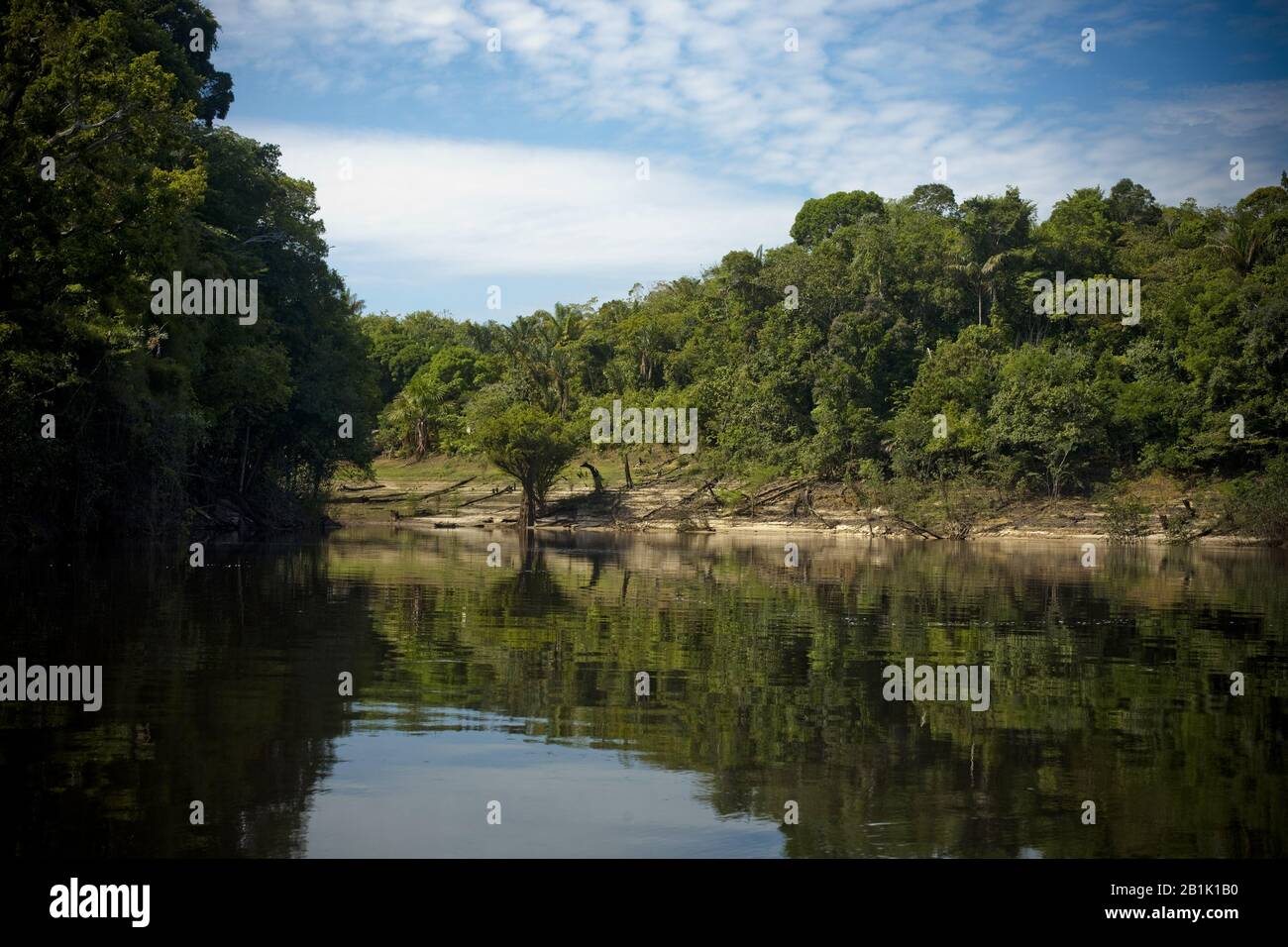 Novo Airão Amazonas fonte: c8.alamy.com
