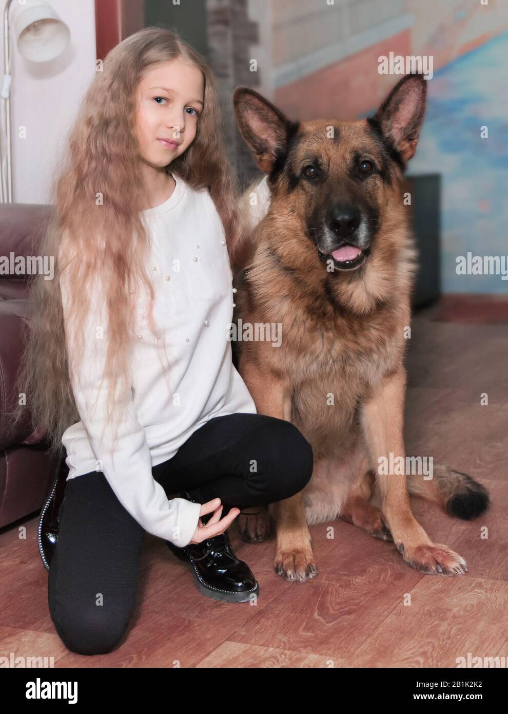 portrait of a teenage girl and her friendly big dog Stock Photo - Alamy