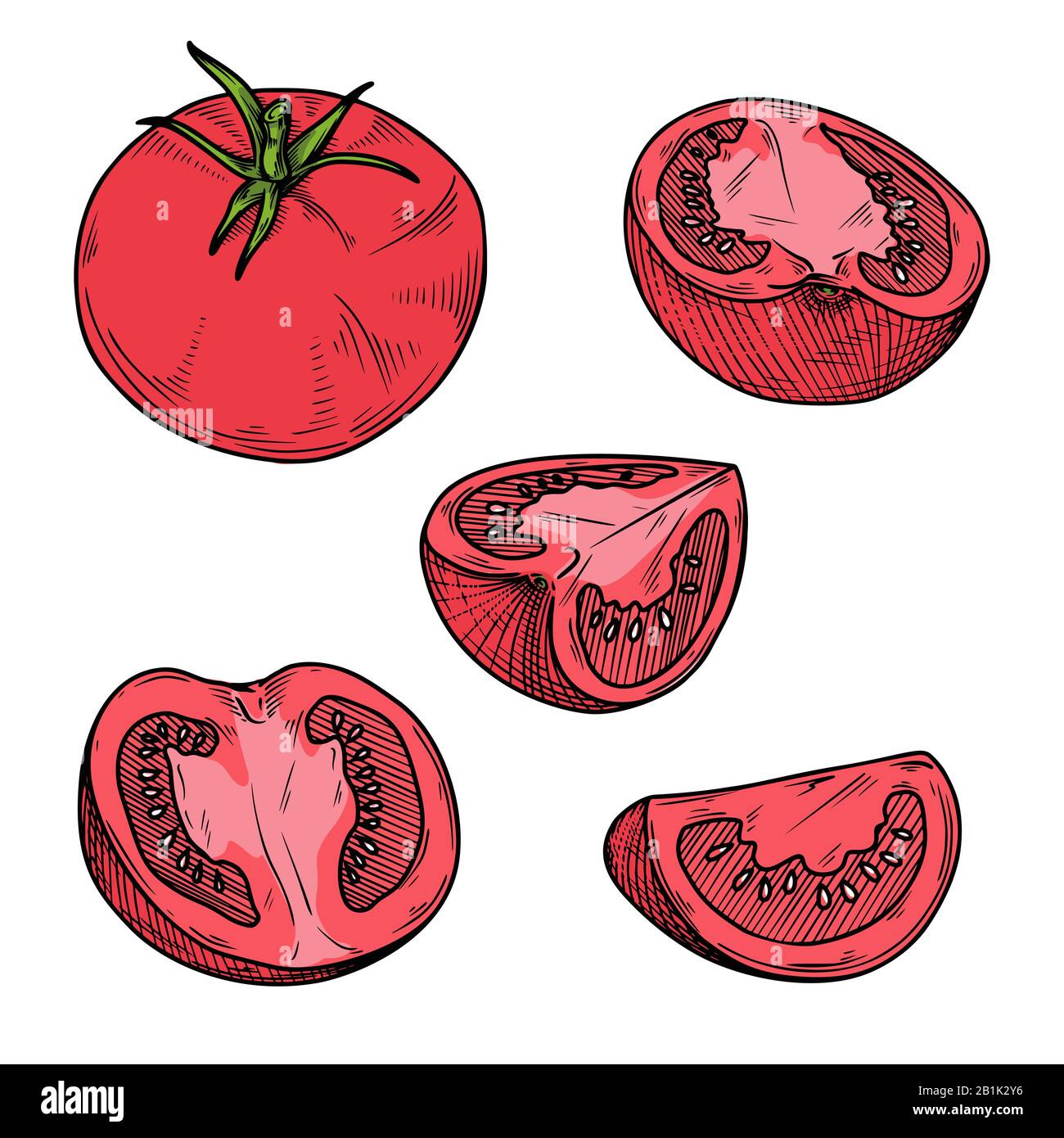Cut half tomato vector drawing hires stock photography and images Alamy
