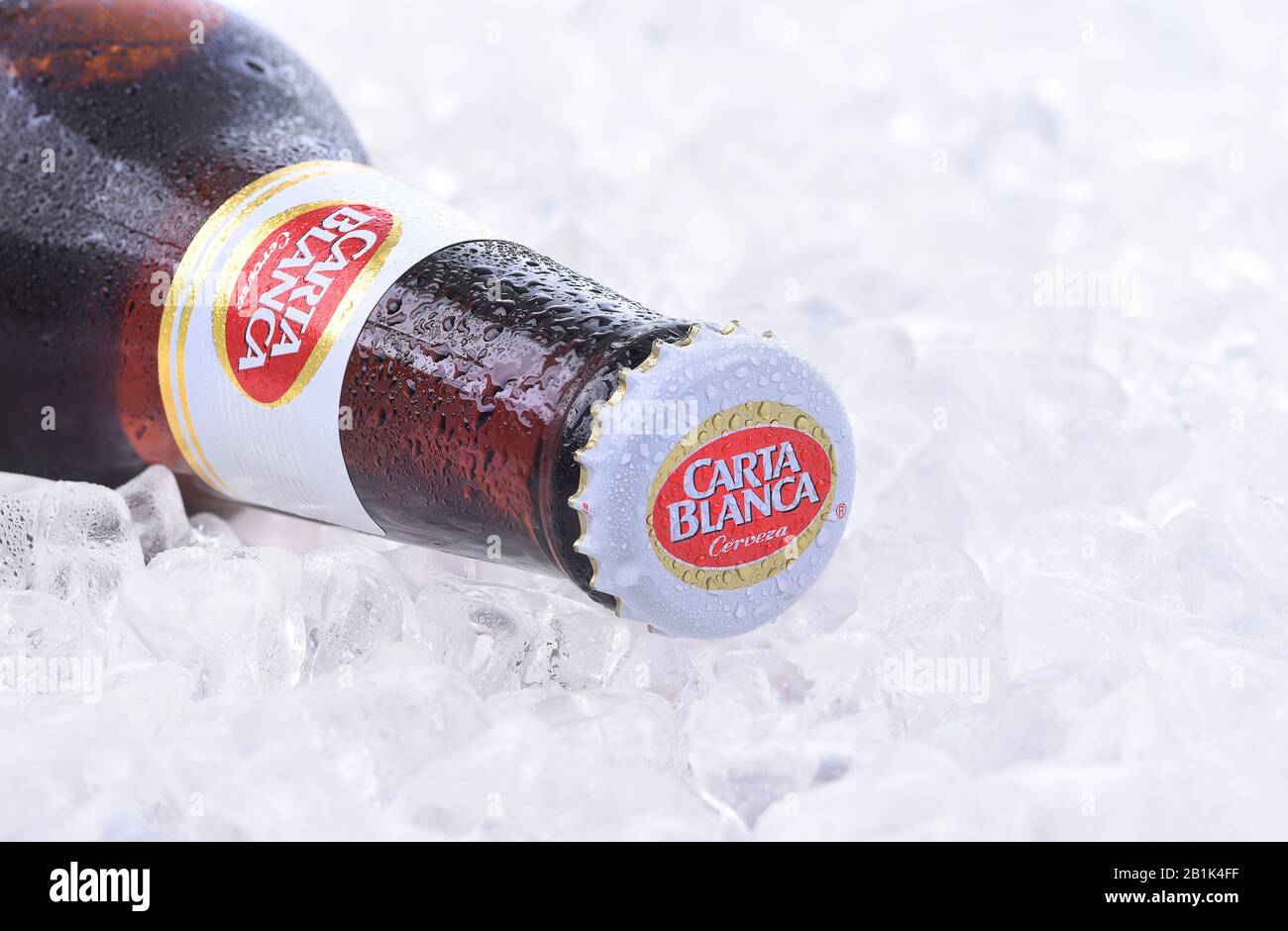Cerveza Carta Blanca High Resolution Stock Photography And Images Alamy Cerveza Carta Blanca High Resolution Stock Photography And Images Alamy