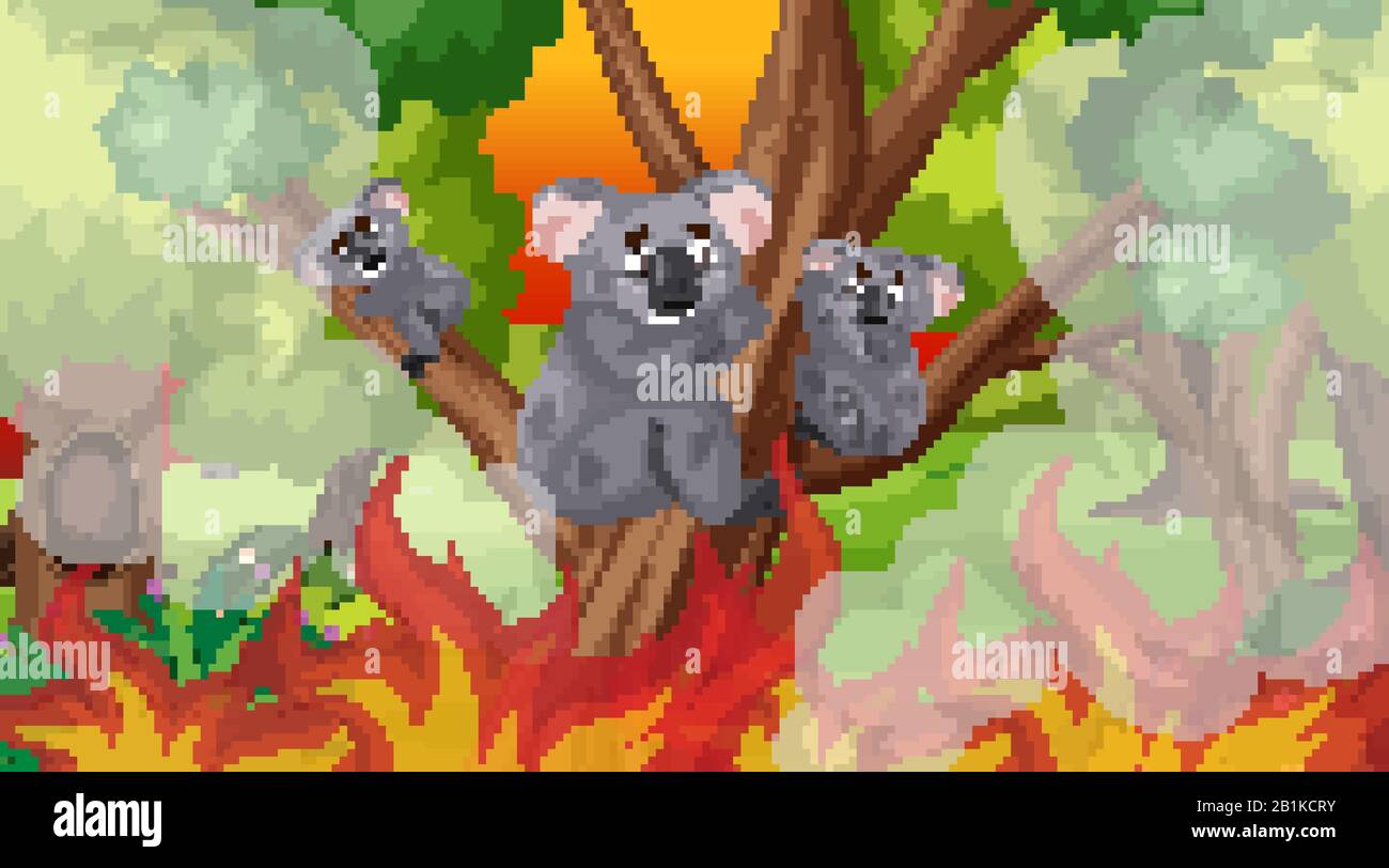 Scene with big wildfire and koalas trapped in the forest illustration ...
