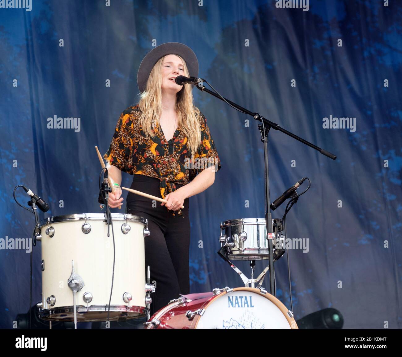 Are you ready for a challenge? Personality traits influence dairy calves'  responses to disease, pain, and nutritional challenges - Journal of Dairy  Science, image size:1300x1153