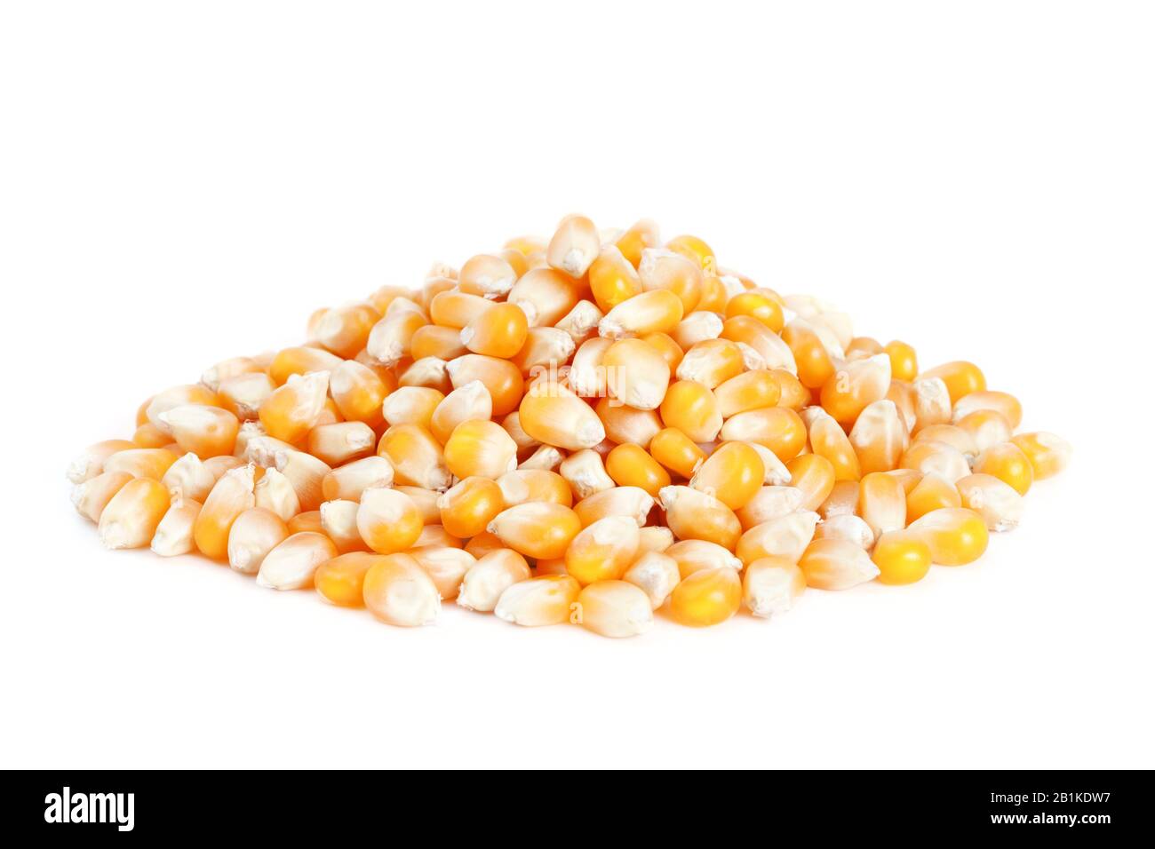 Pile dried corn isolated on white background Stock Photo Alamy