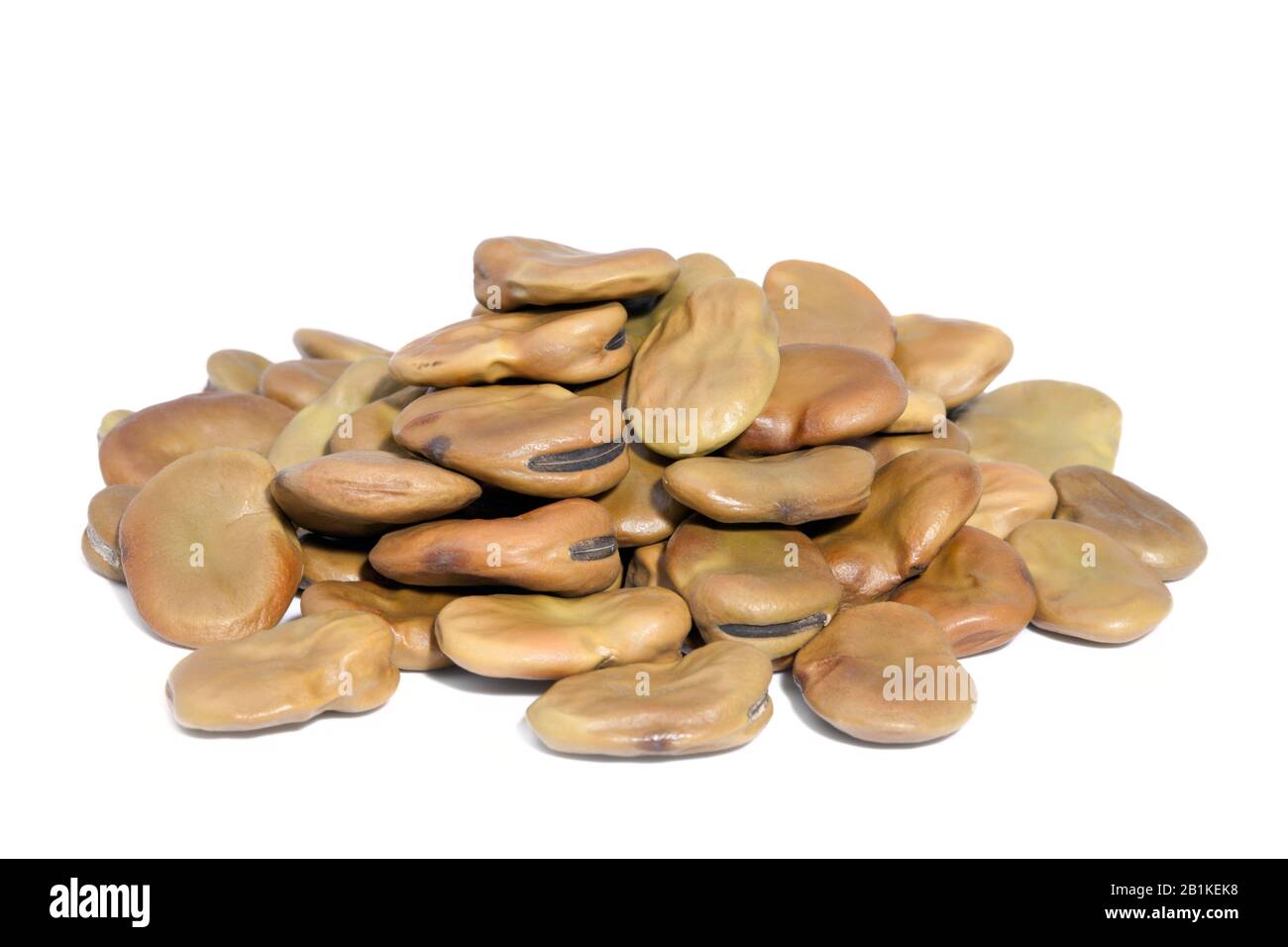 Pile Broad Beans isolated on white background. Also called Fava or Windsor Bean. Huge, substantial beans with a creamy texture; Stock Photo
