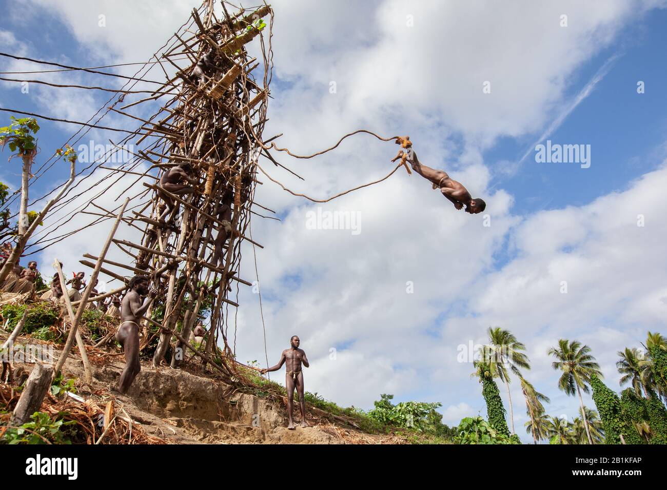 Land diving vanuatu hi-res stock photography and images - Alamy