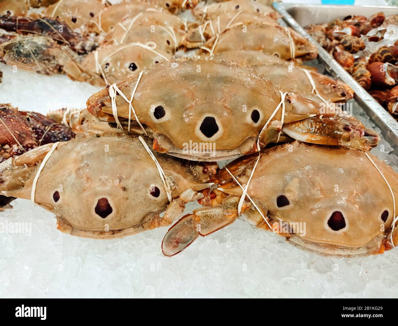 Fresh crabs on ice display in a supermarket. Stock Photo