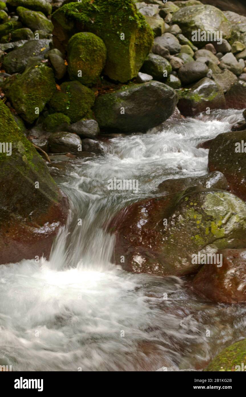 The Dampalit Waterfalls is a local tourist destination for those who live in the Los Banos area. Being close to Manila it has attracted local tourists. Stock Photo