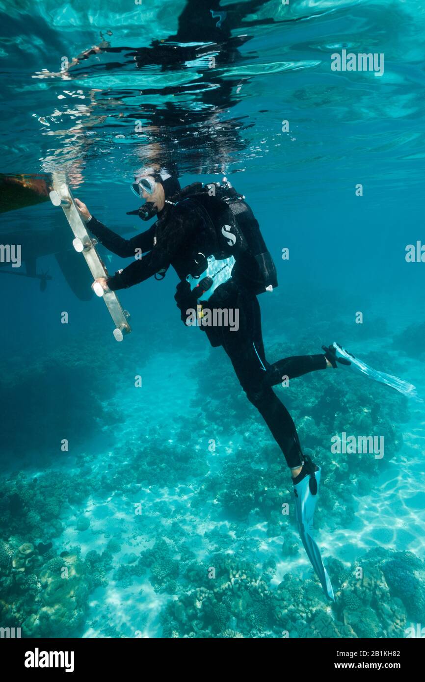 Scuba Diving at French Polynesia, Fakarava, Tuamotu Archipel, French
