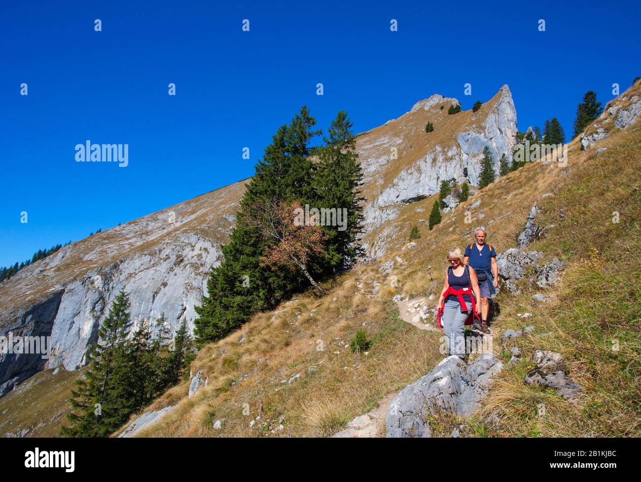 Hikers on the Purtschellersteig to the Schafberg, Sankt Wolfgang, Salzkammergut, Austria Stock Photo