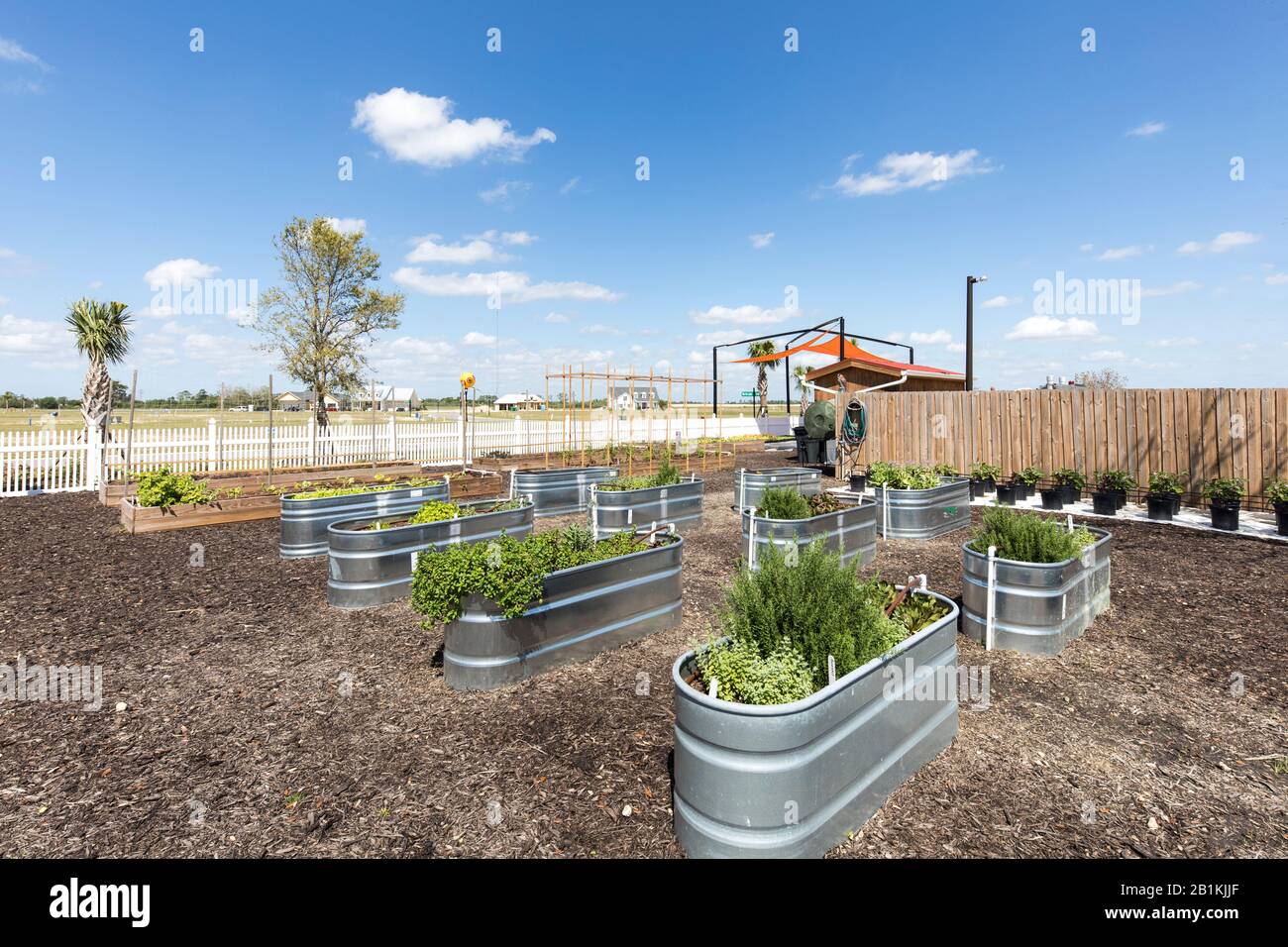 Organic herb and spice garden in Babcock Ranch, Florida, a self