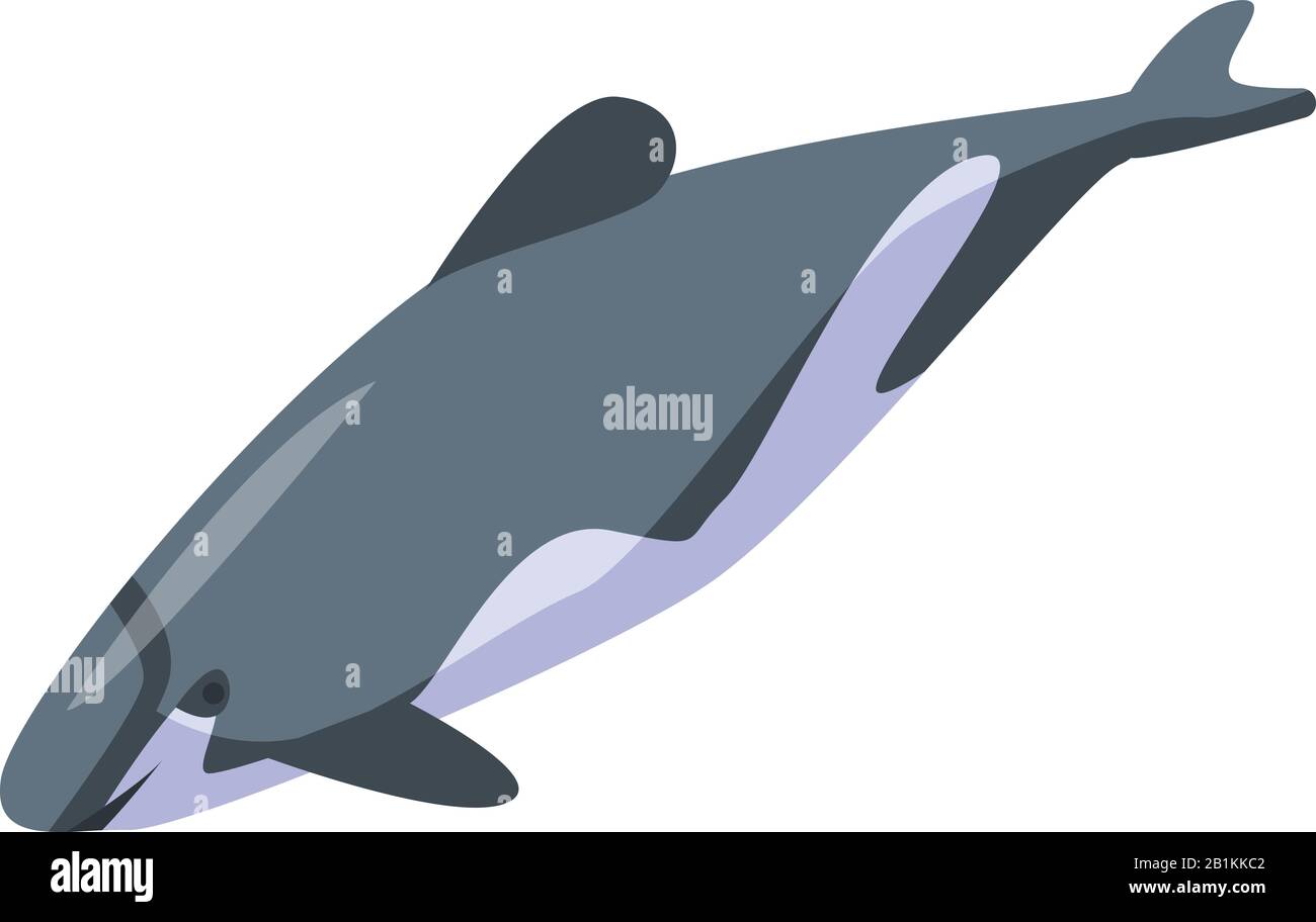 Underwater dolphin icon, isometric style Stock Vector