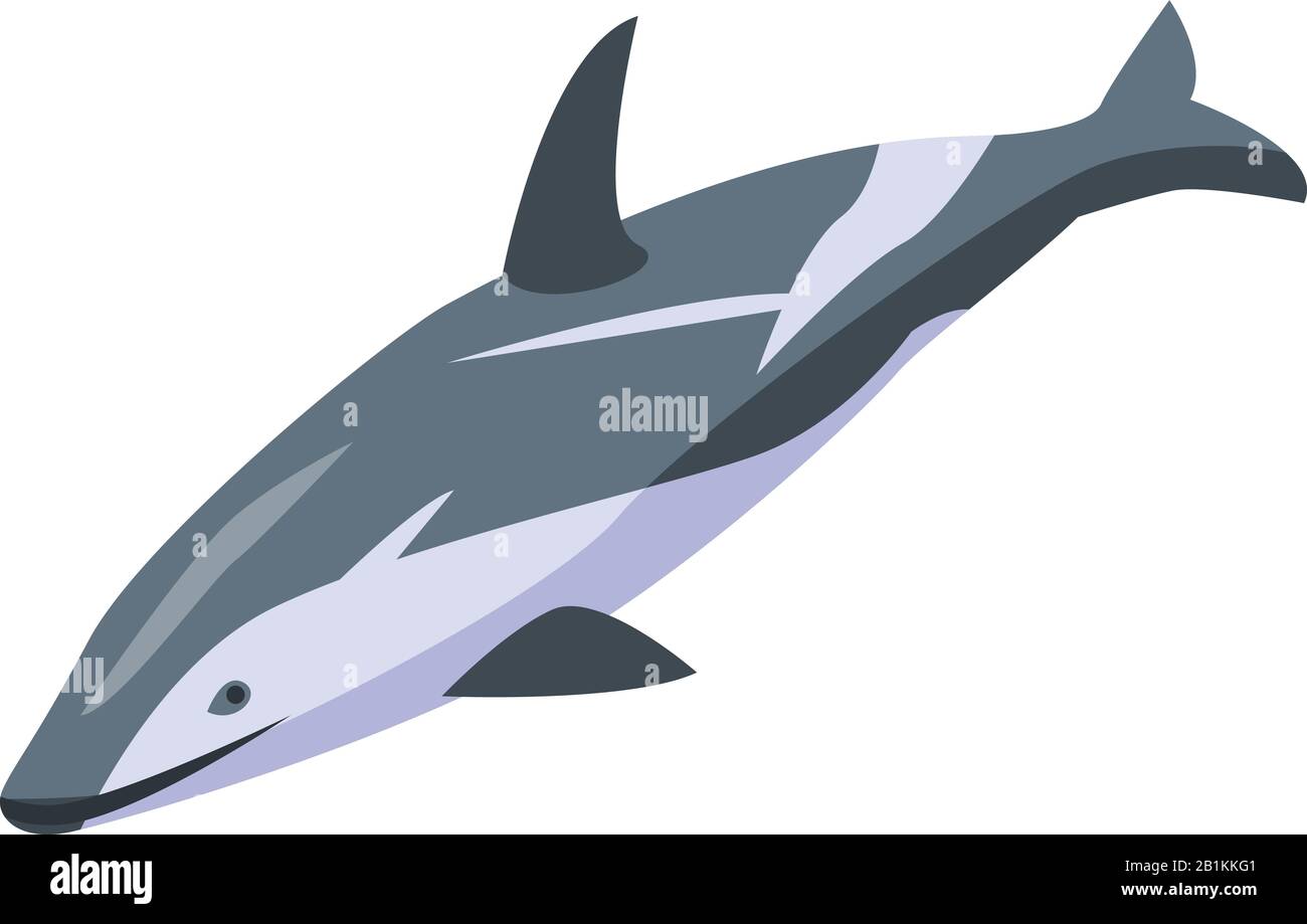 Sea dolphin icon, isometric style Stock Vector
