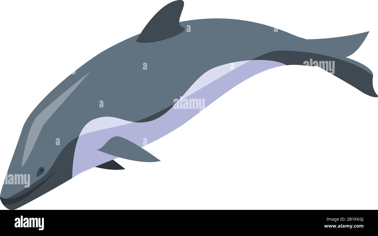 Dolphin swim icon, isometric style Stock Vector