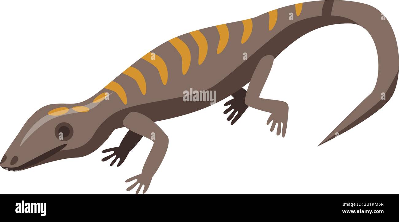 Gecko lizard icon, isometric style Stock Vector