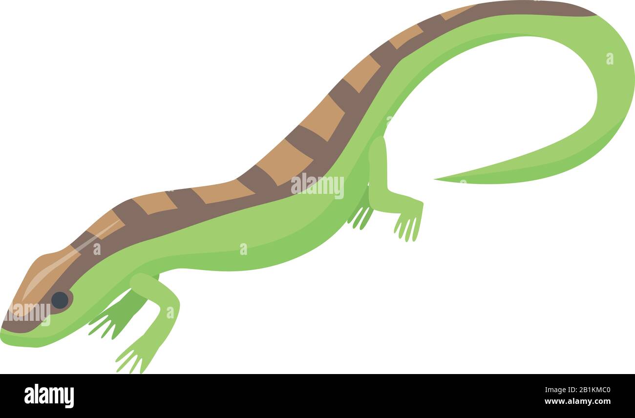 Salamander icon, isometric style Stock Vector