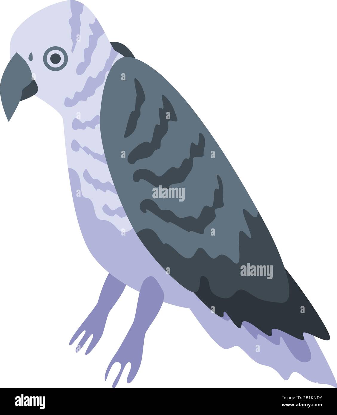 Black white parrot icon, isometric style Stock Vector Image & Art - Alamy