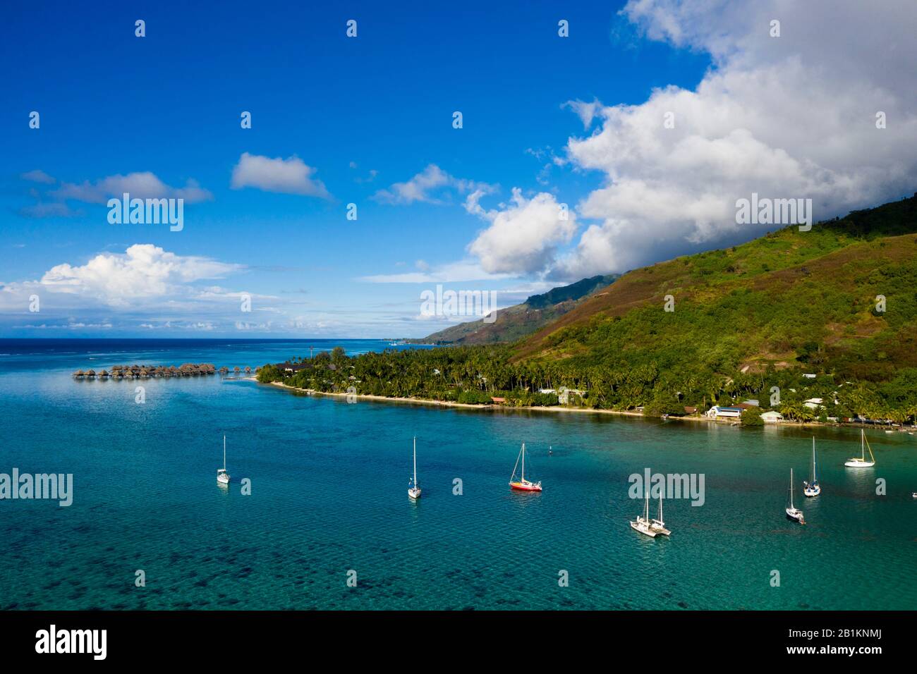 Aerial View of Opunohu Bay, Moorea, French Polynesia Stock Photo