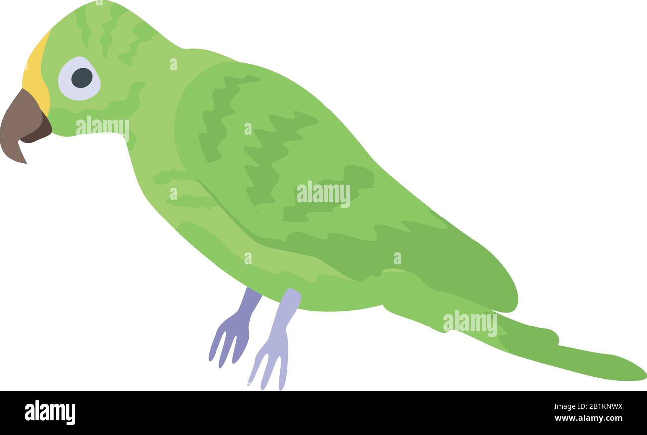 Green parrot icon, isometric style Stock Vector