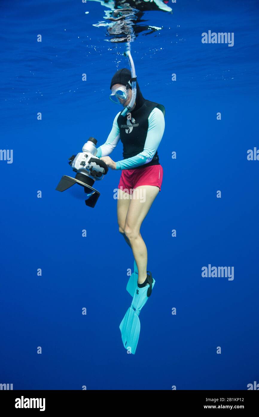 Underwater Photgrapher, Moorea, French Polynesia Stock Photo