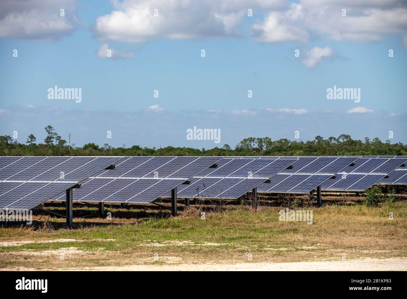 florida-power-and-light-lobbyists-made-it-illegal-to-use-solar-during