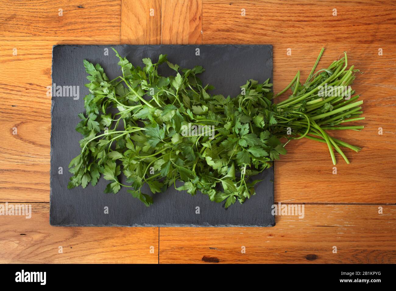 A bunch of freshly picked coriander Stock Photo Alamy