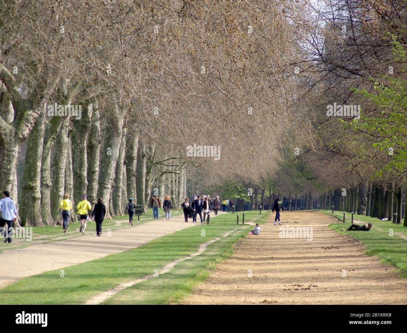 Horse riding track where James Hewitt taught HRH Princess Diana to horse ride, Hyde Park, London, England. Stock Photo