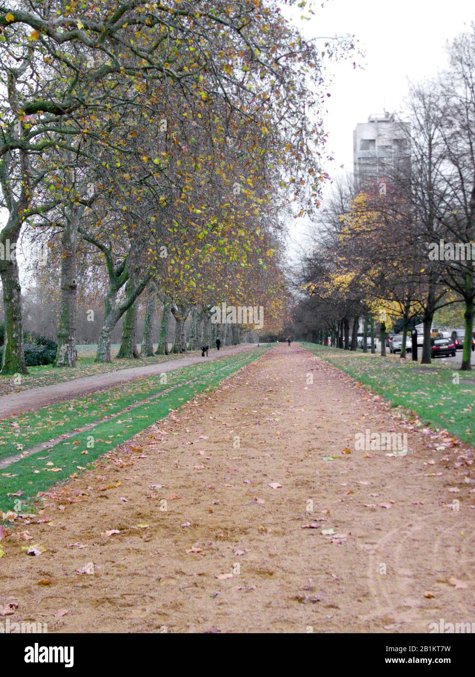 Horse riding track where James Hewitt taught HRH Princess Diana to horse ride, Hyde Park, London, England. Stock Photo